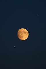 Wall Mural - Waning gibbous Moon photographed with a long focal lens.