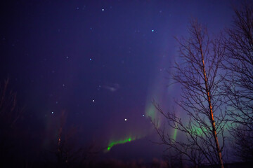 Wall Mural - Aurora borealis, polar lights with Milky Way stars.
