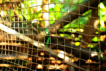 Close up of a rusty wire mesh with soft natural sunlight
