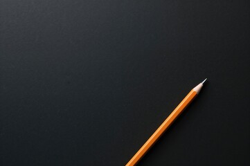 Wall Mural - Creative Concepts: Writing, Celebration, and Inspiration