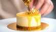 © Patcharin - Gourmet cheesecake with honey being drizzled on top by a pastry chef