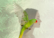© New Africa - Beautiful young woman and parrot, multiple exposure with tropical leaves