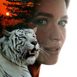 © New Africa - Beautiful young woman and tiger, multiple exposure with trees at sunset. Collage on white background