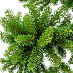 close-up of vibrant green evergreen needles, perfect for holiday decor