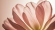 © agiepoanx - Abstract Calming Floral Petals Background Serene Nature Texture