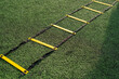 © Milles Team/Stocksy - Agility ladder on green artificial grass