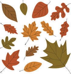 Collection of hand drawn autumn leaves in various shapes and colors