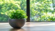 © Nakorn - Indoor plant care tips home guide lush environment close-up green living