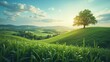 © Rika - A sunlit landscape displays a lush green hill, with a large tree bathed in the warm glow of the sun's rays, set against a backdrop of rolling hills, under a bright blue sky and fluffy clouds.