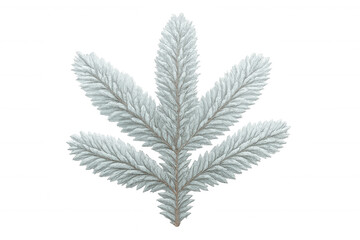 Wall Mural - Fir tree branch covered with white snow and frost, winter holiday season decoration, transparent background
