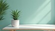 © Viktor - Small green succulent plant in white pot on white table. Soft light stripes on teal wall. Another green plant out of focus. Clean minimal interior backdrop.