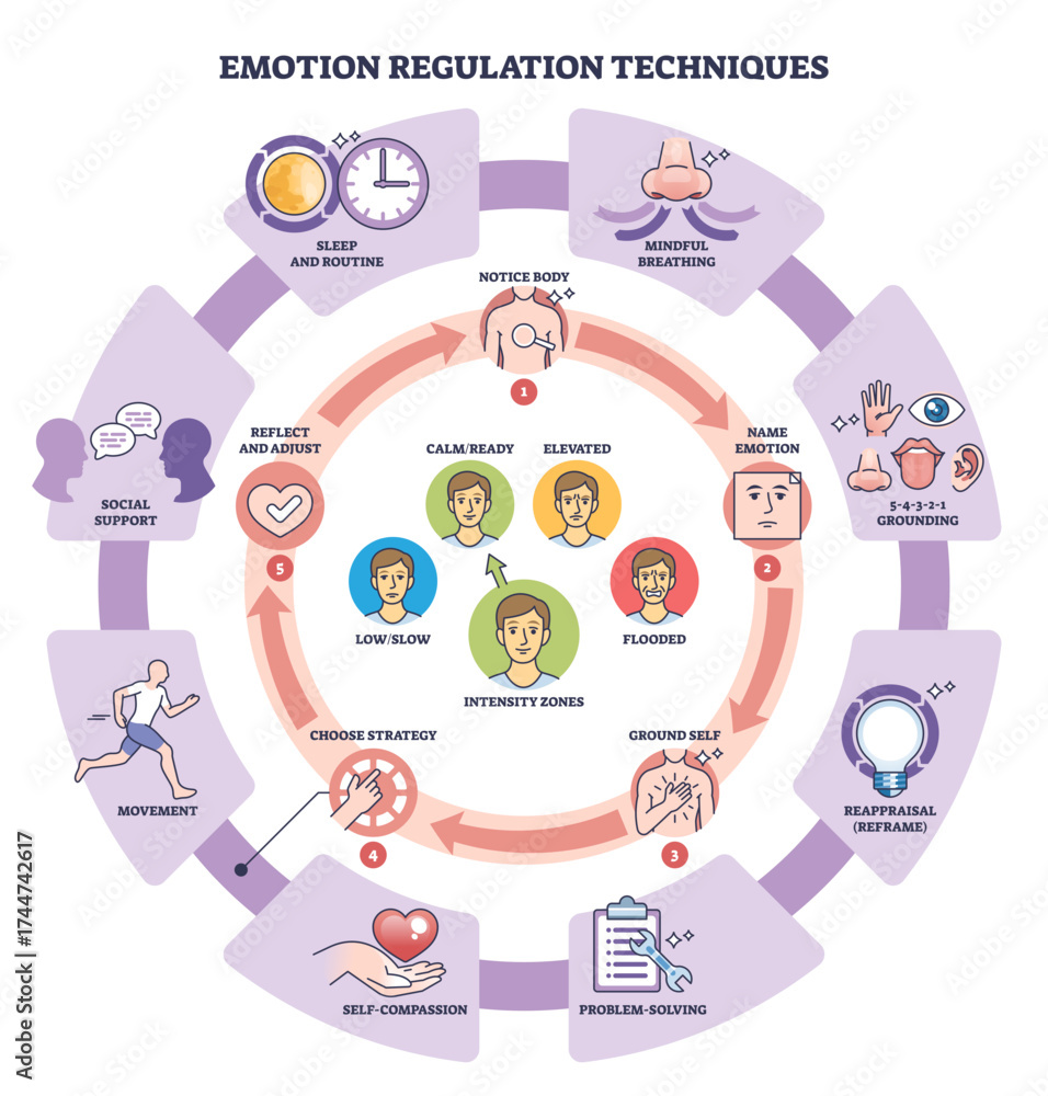 Emotion regulation techniques are shown with a circular diagram ...