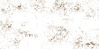 © DAKU MOHARAJ - Old, dirty grunge wall texture pattern with vintage splash paint design for backgrounds