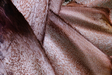 A striking close-up of a palm tree trunk, showing the intricate and rugged texture of the fibrous bark.