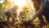 Personas plantando árboles jóvenes en el bosque al atardecer, concepto de sostenibilidad y medio ambiente