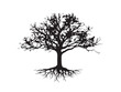 © beauti - Atmospheric Foggy Tree Silhouette For A Spooky Or Moody Design