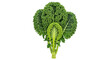© Anneliese - Isolated image of fresh organic curly green kale vegetable with nutritious properties