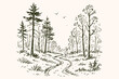 © Victoria - Forest path landscape sketch with trees vector illustration