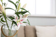 © Pixel-Shot - Vase with beautiful lily flowers in living room, closeup