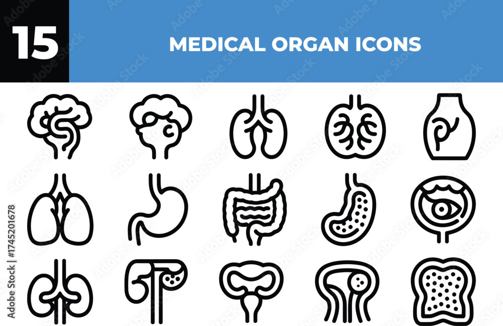 Collection of medical organ icons human anatomy body systems internal ...