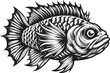 © Stockholm19 - Striking black and white fish art for modern design projects, vibrant details, perfect for tattoo inspiration or marine themed graphics, bold unique