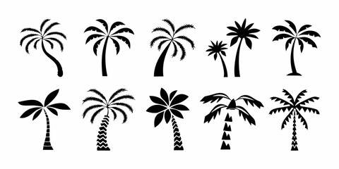 Collection of diverse black silhouette palm trees with various trunk shapes and frond styles on a white background