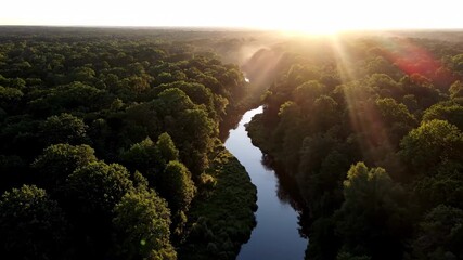 Wall Mural - High aerial shot of early morning sun rays creating a dappled light and shadow effect across a winding river and dense forest flow, water, background