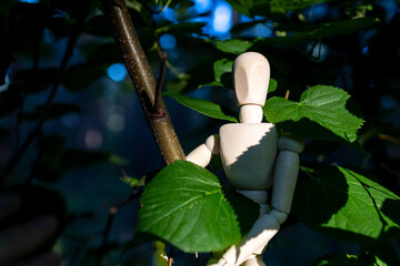 Wall Mural - A wooden doll hides in the foliage, peeks out of the leaves