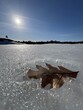 © Vincent LQ - Oak leaf on a frozen lake - Feuille de chêne sur un lac gelé