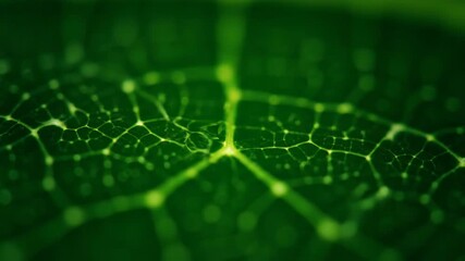 Wall Mural - Abstract Leaf Vein Network Seamlessly Looping with Intertwining Green Lines and Subtle Light corporate, meditation, green