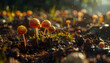 © Athiphat - Mushroom soil spore sunlight dew forest nature growth macro cinematic view mushrooms with dew caps growing moist soil illuminated by sunlight showing spore formation vibrant forest environment