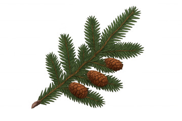 Wall Mural - Fir tree branch with green needles and three brown cones, representing seasonal decorations and nature. Transparent background