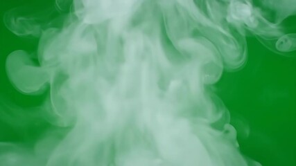 Wall Mural - Ethereal white smoke gently swirls and drifts upwards in beautiful slow motion against a green screen background, isolated, transparent