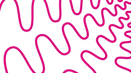 Wall Mural - Animated magenta decorative wavy lines is drawn. Linear pink background. Looped video. Vector illustration isolated on white background.