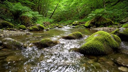 Wall Mural - Gentle river current slowly flowing over smooth, moss-covered river stones in a pristine natural environment relaxing, slowly flowing, abstract