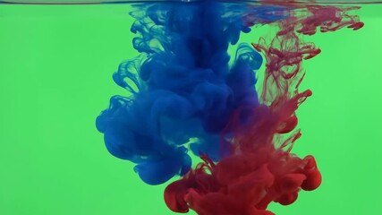 Wall Mural - Organic blue and red ink diffuses gracefully in slow motion through clear water on a green screen concept, vivid, diffuses