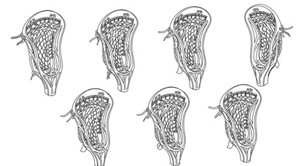 vector art of detailed line drawing of lacrosse stick heads, displaying the intricate netting and de