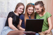 © danmorgan12 - Small Group of Three Winsome Young Caucasian Funny Ladies With Laptop Searching for the Information While Having Good Time