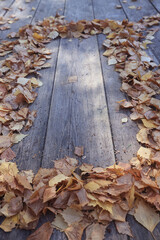 Wall Mural - background, autumn fallen yellow leaves on an old wooden board surface, abstract October background for a frame