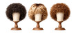 © Putra - Collection of Curly Wigs on Elegant Stands in Various Colors and Styles