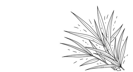 Detailed black and white sketch of a pine branch with needles
