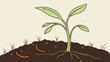 © Lunch TIME  - Plant seedling growing in soil with worms illustration botanical diagram agriculture gardening nature spring growth sprout botany plant life ecosystem environmental science educationa.