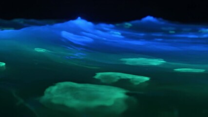 Wall Mural - bioluminescent wave pattern seamlessly looping with glowing blue and green organic forms glowing blu