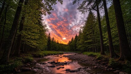 Wall Mural - dynamic clouds sweep across a vibrant forest creek at sunset, captured in a stunning timelapse dynam