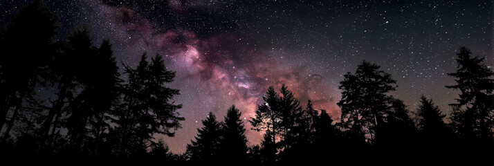 Wall Mural - A dark sky with a large milky way and many stars