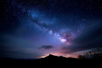 Wall Mural - The sky is dark and the stars are shining brightly