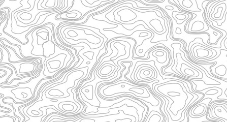abstract wavy background. topographic contour background. texture of lines. pattern shape in organic wood on white and transparent background