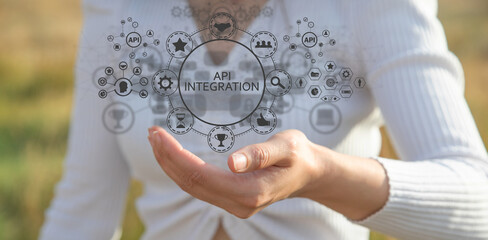 Api Integration. Data access. Automation