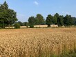 © Pixel62 - Die Mendener Felder im Sommer
