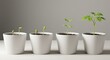 © fatema202 - Four potted plants showing stages of growth from seedling to mature plant, isolated on white background